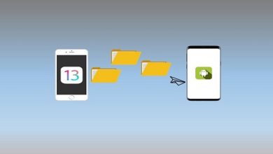 How To Transfer Data From Android To iPhone?