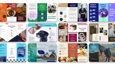 The Best Brochure Design Platforms for Brand Personalization, Custom Templates, and All-in-One Editing